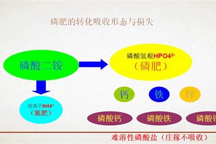 螯合钾二铵怎么样