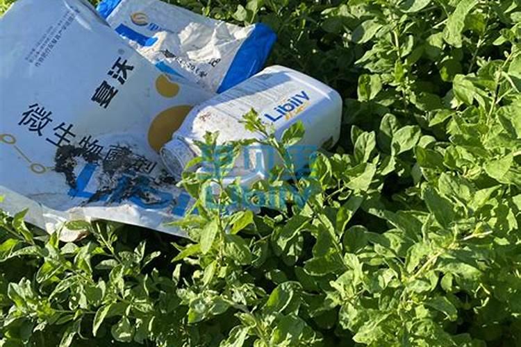 国内氨基酸水溶肥生产厂家有哪些？