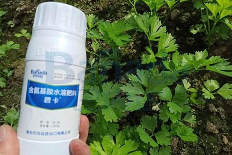 国内氨基酸水溶肥生产厂家有哪些？