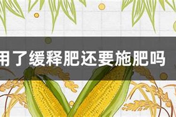 营养液和缓释肥可以一起用吗