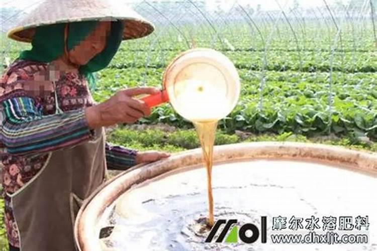 请问:真假磷酸二氢钾、硼肥、锌肥简易识别法。