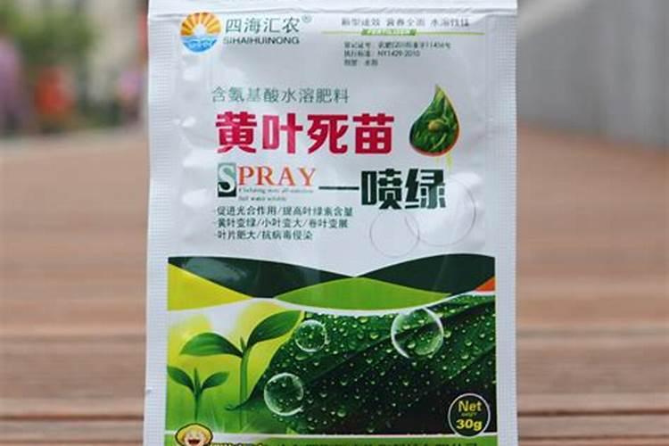 叶绿素控旺多久喷一次