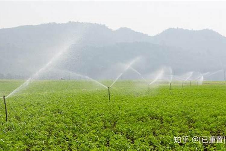 常见几种氮肥的施用方法？