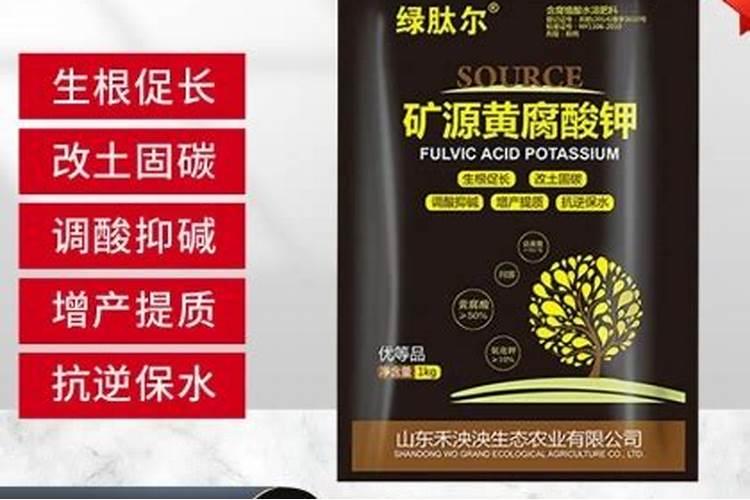 巧乐兹多少钱一支零售巧乐兹多少钱一支
