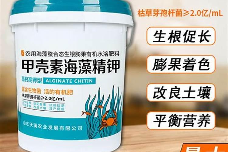 柑橘开春用什么肥料