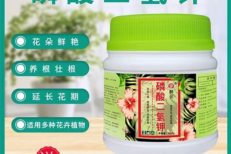 快开花需要加什么肥吗