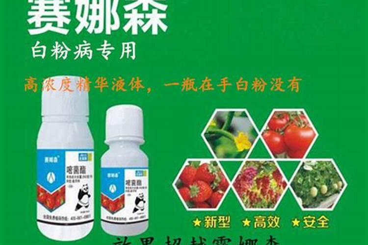 草莓碧护使用方法