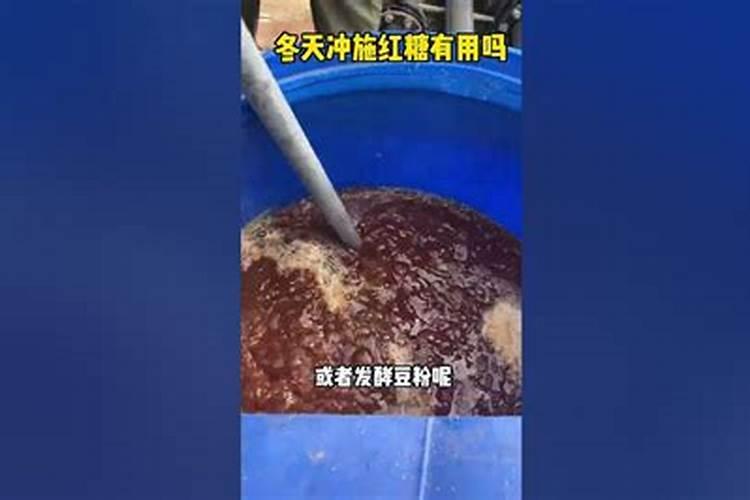 草莓冲施红糖的作用