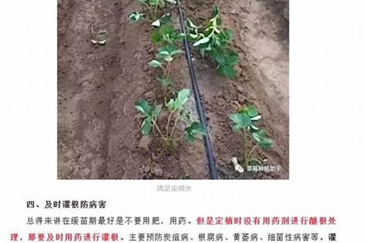 谁用谁夸!红糖、白糖、葡萄糖中的隐藏功能,你一定想不到!