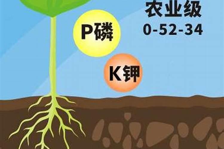 磷肥在水产养殖中的作用