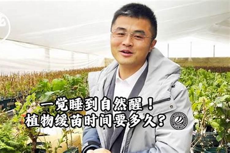 黄瓜不同生长期如何施肥