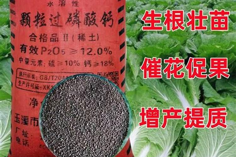 家里养花施什么肥最好 磷肥的作用