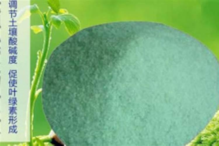 有那些铁肥对果树生根,治疗树叶枯黄有作用勒？