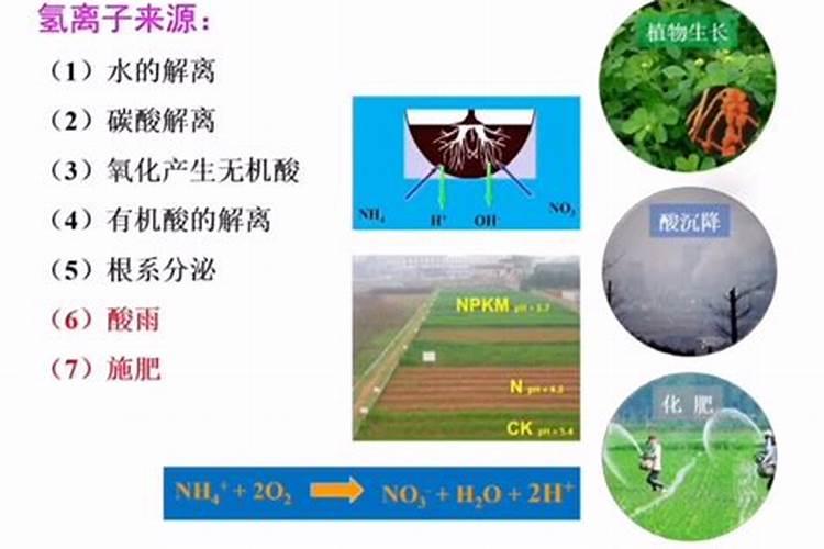 酸雨形成的原因是什么!