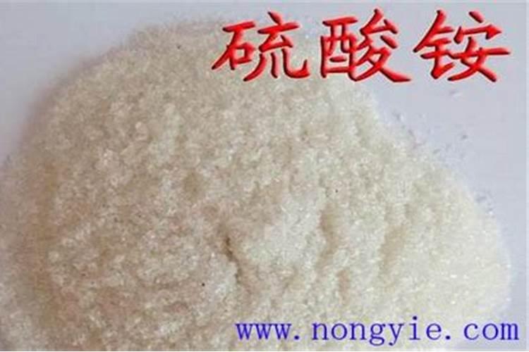 硫酸氨化肥适合什么作物