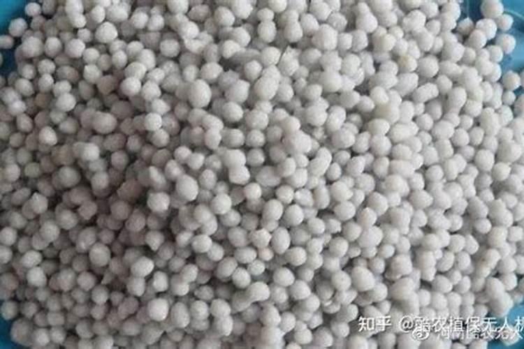 杨树载的时候用的磷肥,8月份用啥肥料？
