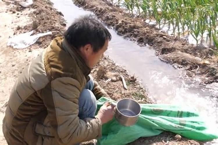 复合肥能溶解水中冲施吗