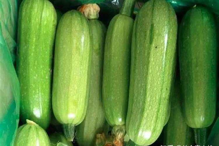 大棚西葫芦冲施什么肥好