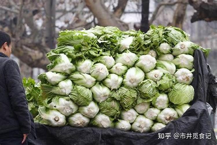 小白菜追肥用什么肥料好(种植小白菜施什么肥料尿素)