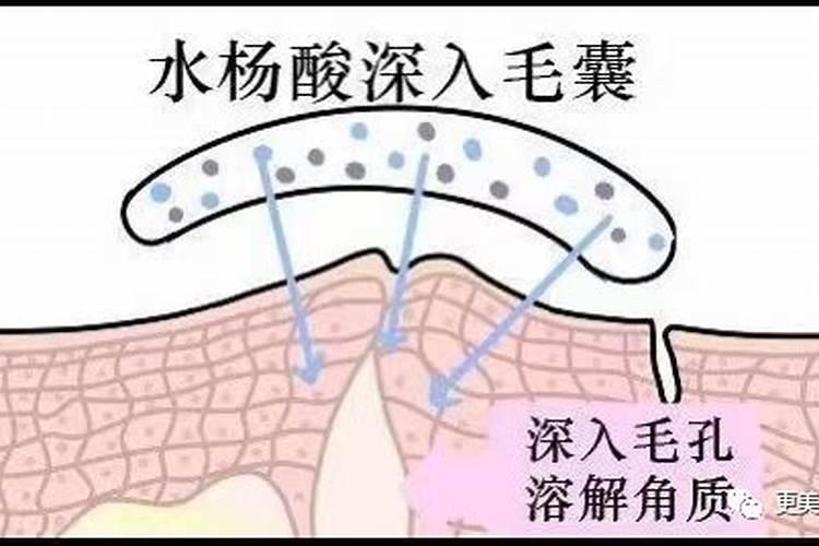 水里加什么绿萝会疯长 水养绿萝加什么东西长得旺盛