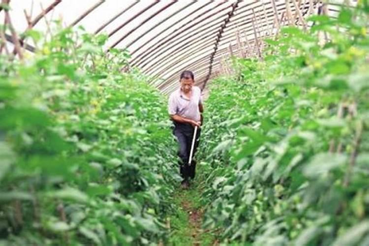 目前化肥价格多少钱一吨？为何都涨疯了？2022年5月化肥价格行情