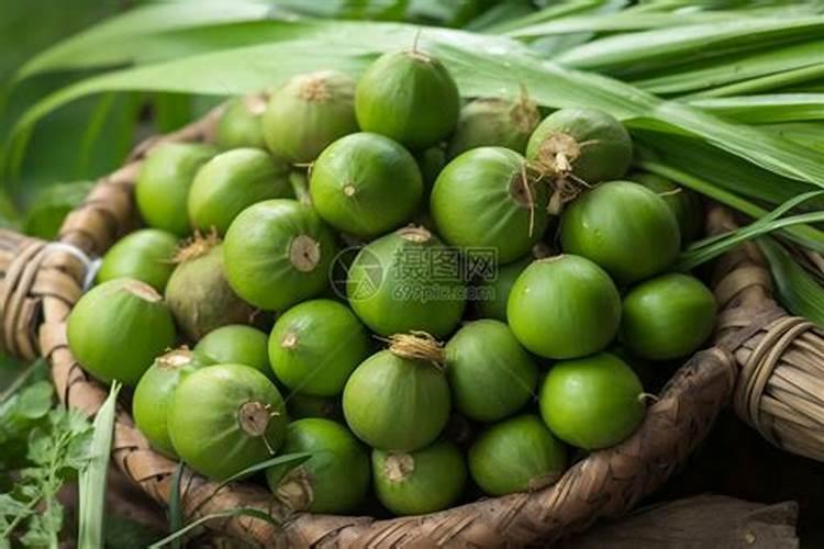 槟榔施什么肥结果多