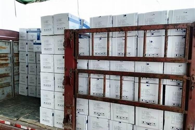 柑橘施肥时间和用量 柑橘施肥时间和用量是什么