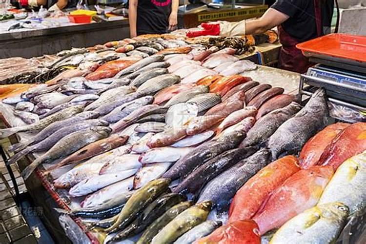 最简单的鱼蛋白水溶肥制作方法