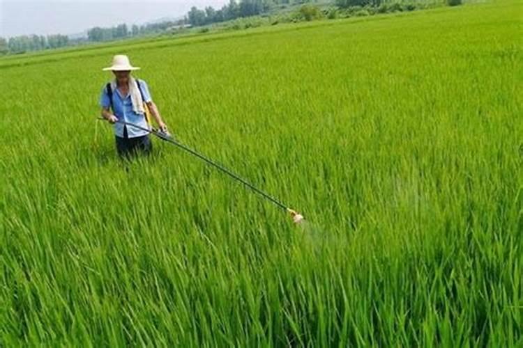 大豆打完除草剂多久可以打叶面肥水？