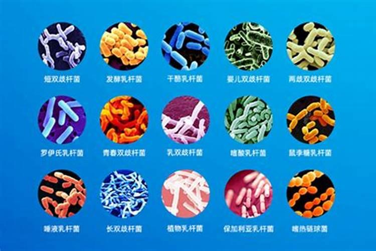 鱼蛋白肥料制作方法