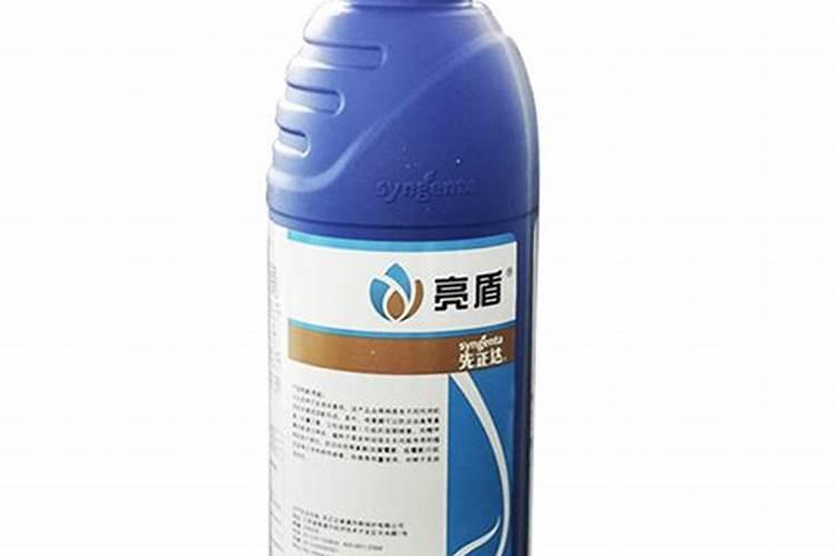 栀子花怎么诊断病害、养护处理？