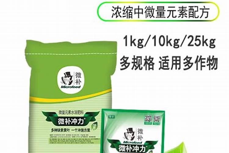 垂盆草隔多久浇一次水