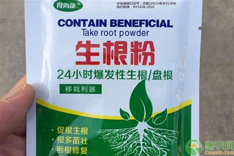 生根最快的肥料是什么呢？怎么使用呢？