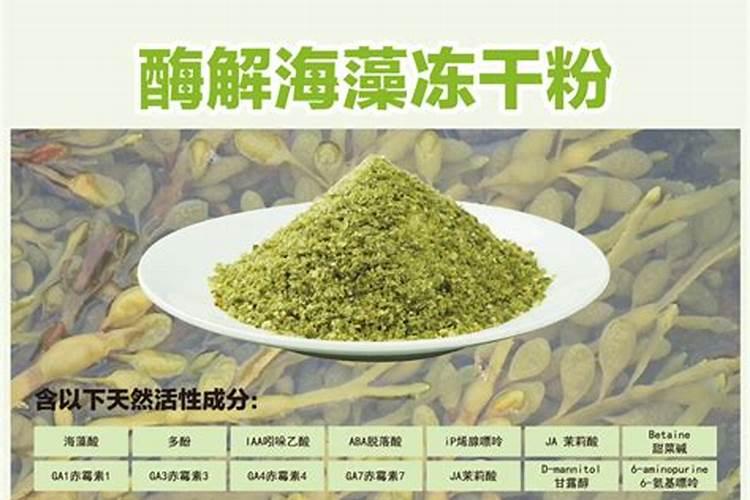 什么是海藻肥