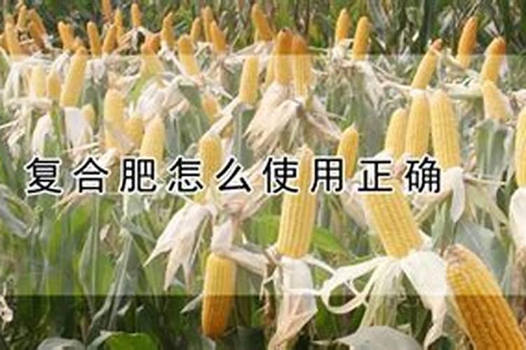 花卉复合肥的使用方法