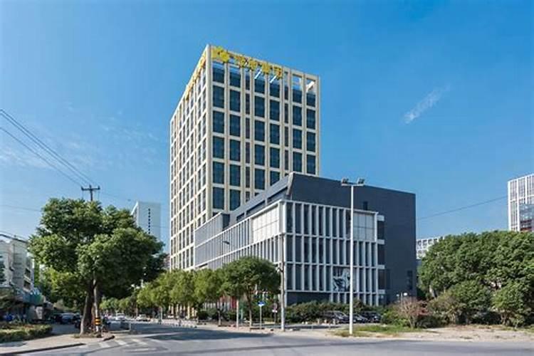 用浓盐水浇树树多久死