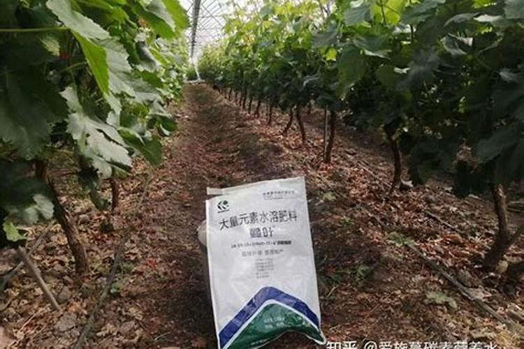 水溶肥的使用方法和注意事项