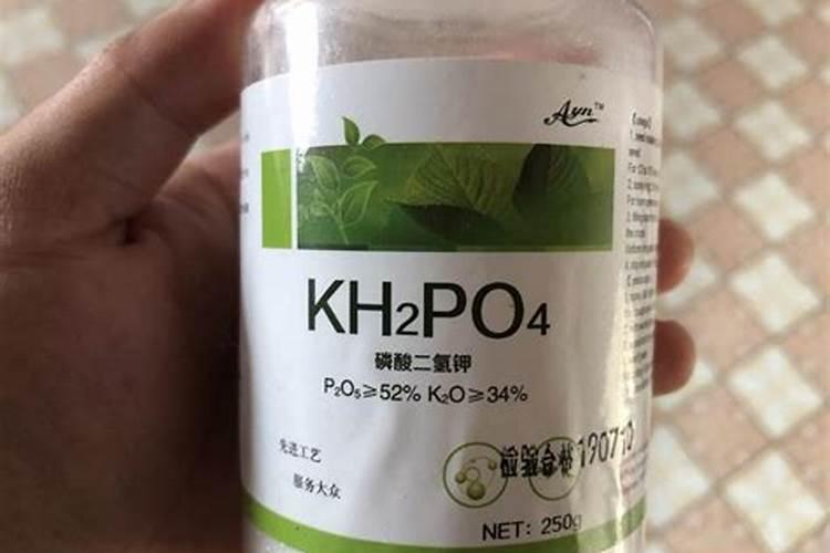磷酸二氢钾多久浇一次 磷酸二氢钾的浇水频率是多久一次？