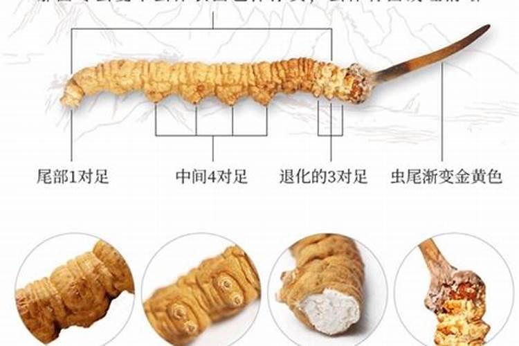 涨价预警!氮、磷、钾肥都涨价了,涨多少？鉴别假化肥的4个方法