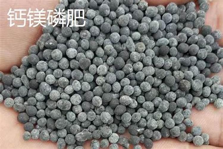 农业化肥应当在哪里验真伪