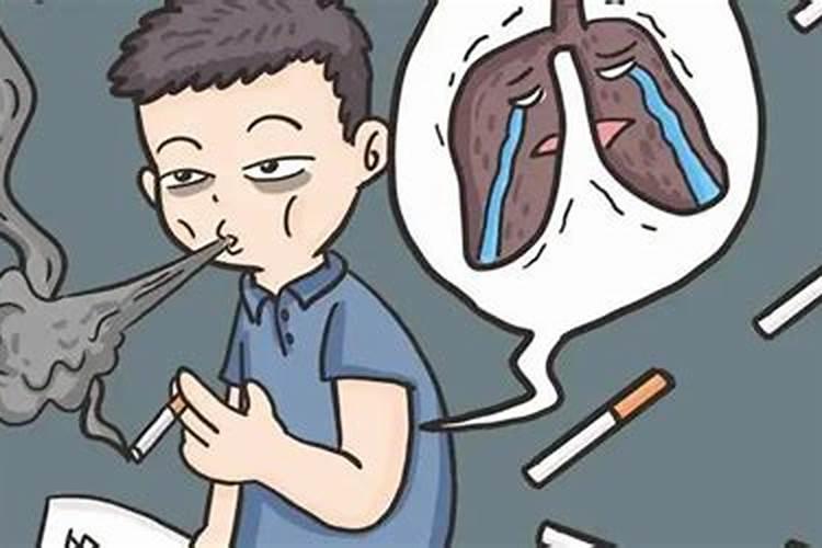 爆米花壳可以养花吗