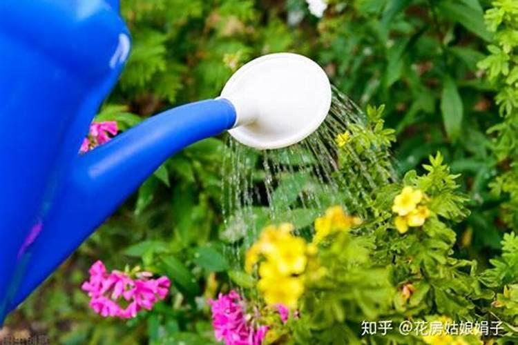 氮肥过量对水源有什么危害