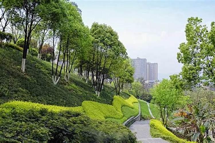 四川适合什么草种植