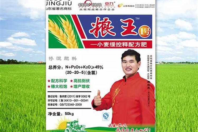 怎样给白菜巧追肥