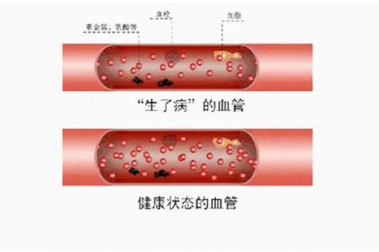 缺钾是什么原因造成的？