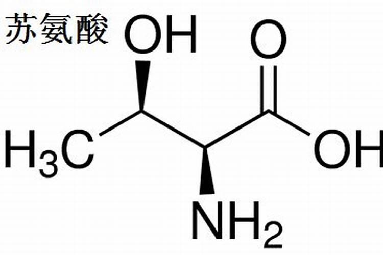 蛋白质中有20种氨基酸,其中有几种是人体不能合成的