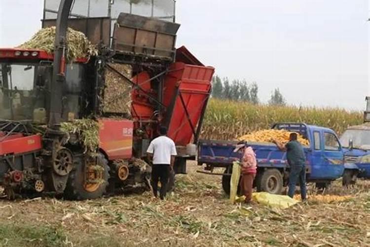 玉米控释肥哪个效果好