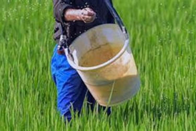 三个20水溶肥怎么配