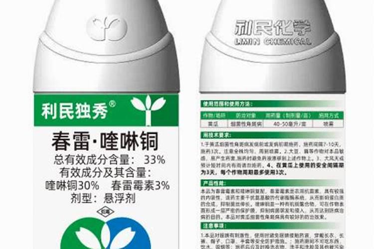 菊花只长叶子不打花苞是什么原因？