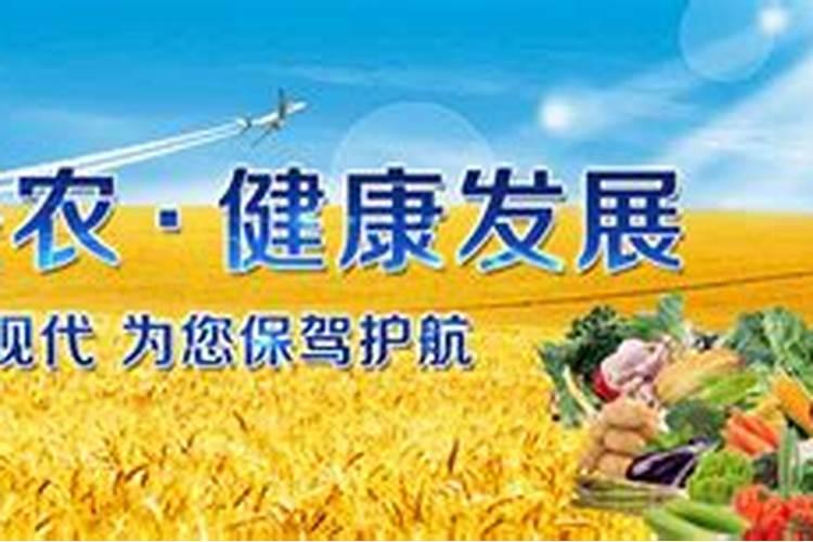 土豆施钾肥增产的效果 养殖技巧总结